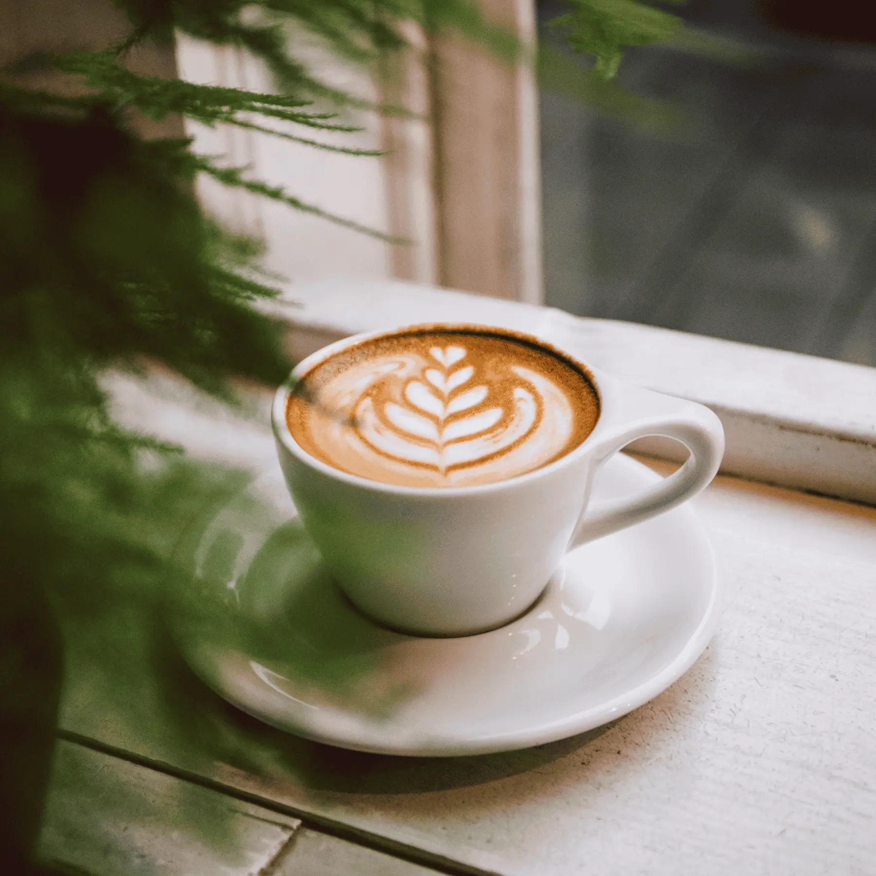 品牌形象 產品介紹 18001800px 14